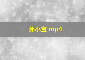 孙小宝 mp4